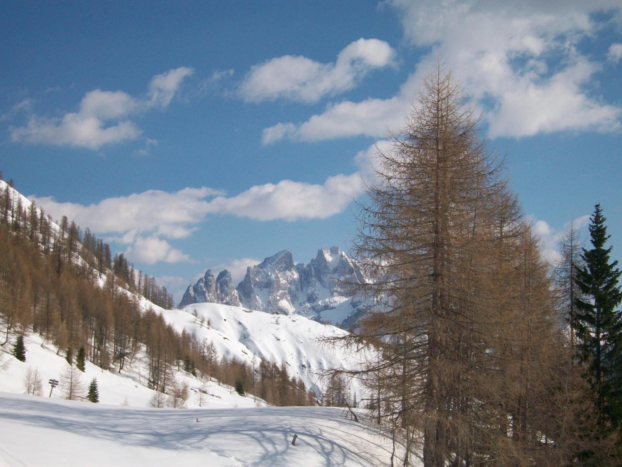Hotel Pensione Dolomiti Falcade Esterno foto