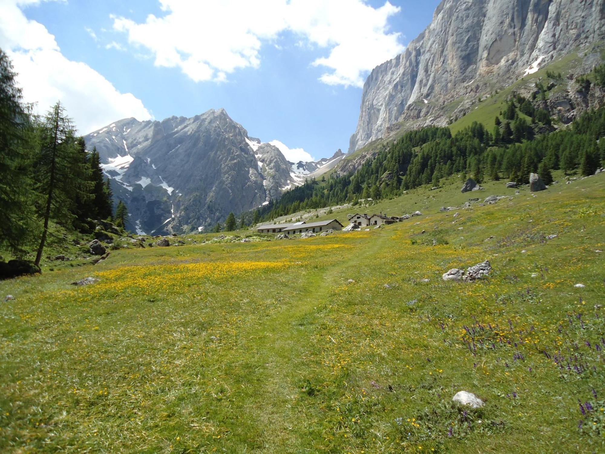 Hotel Pensione Dolomiti Falcade Esterno foto