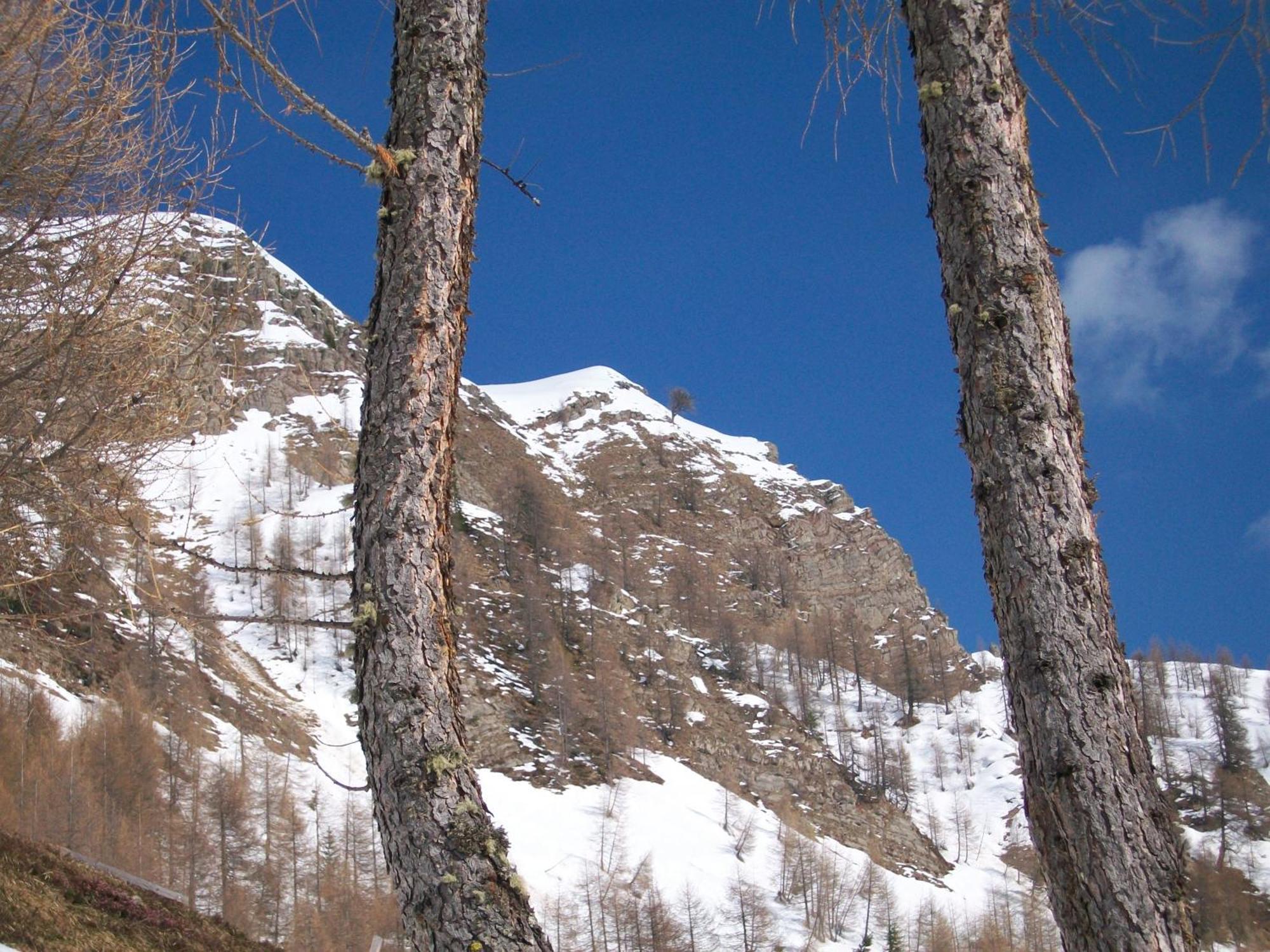 Hotel Pensione Dolomiti Falcade Esterno foto